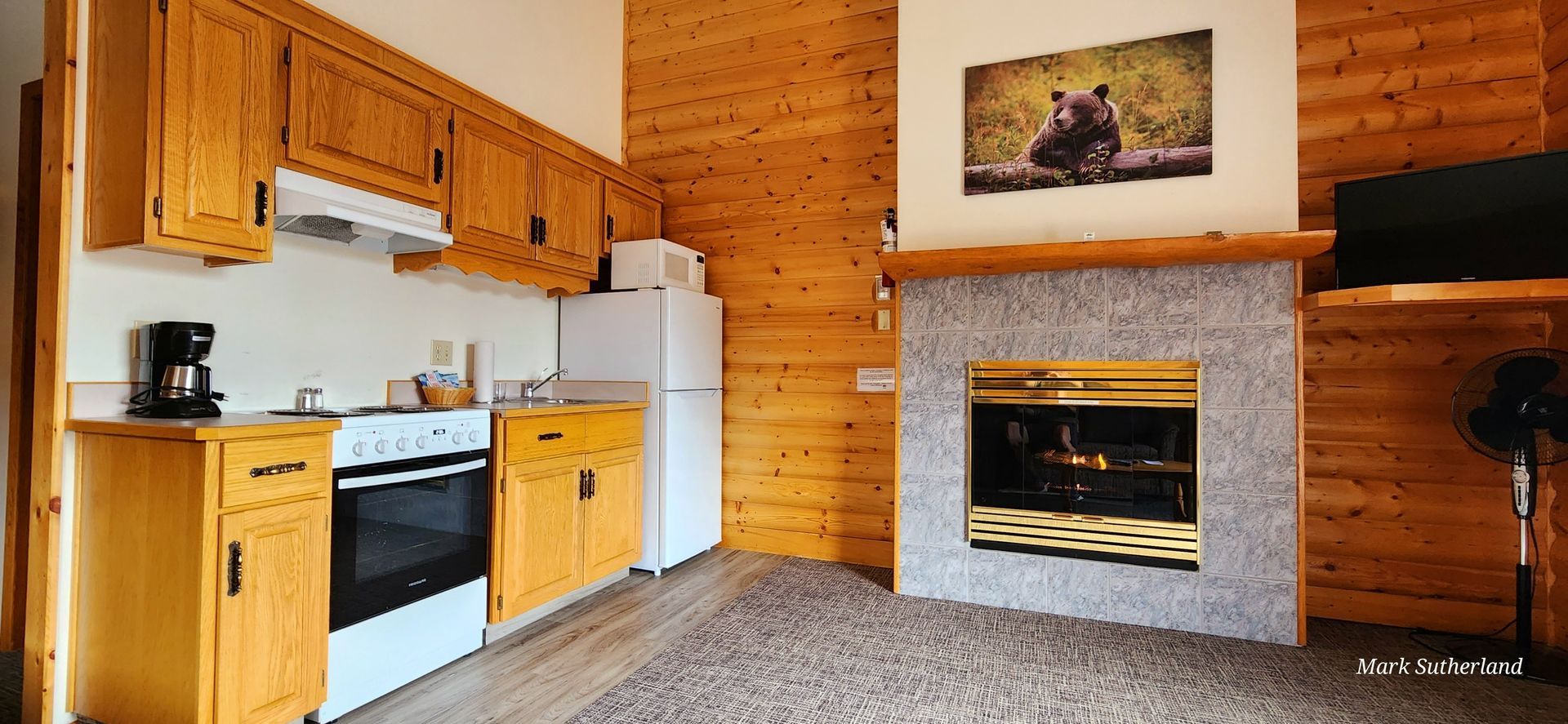 Gezellige keuken en woonkamer met houten lambrisering, witte kasten, open haard en vloerbedekking.