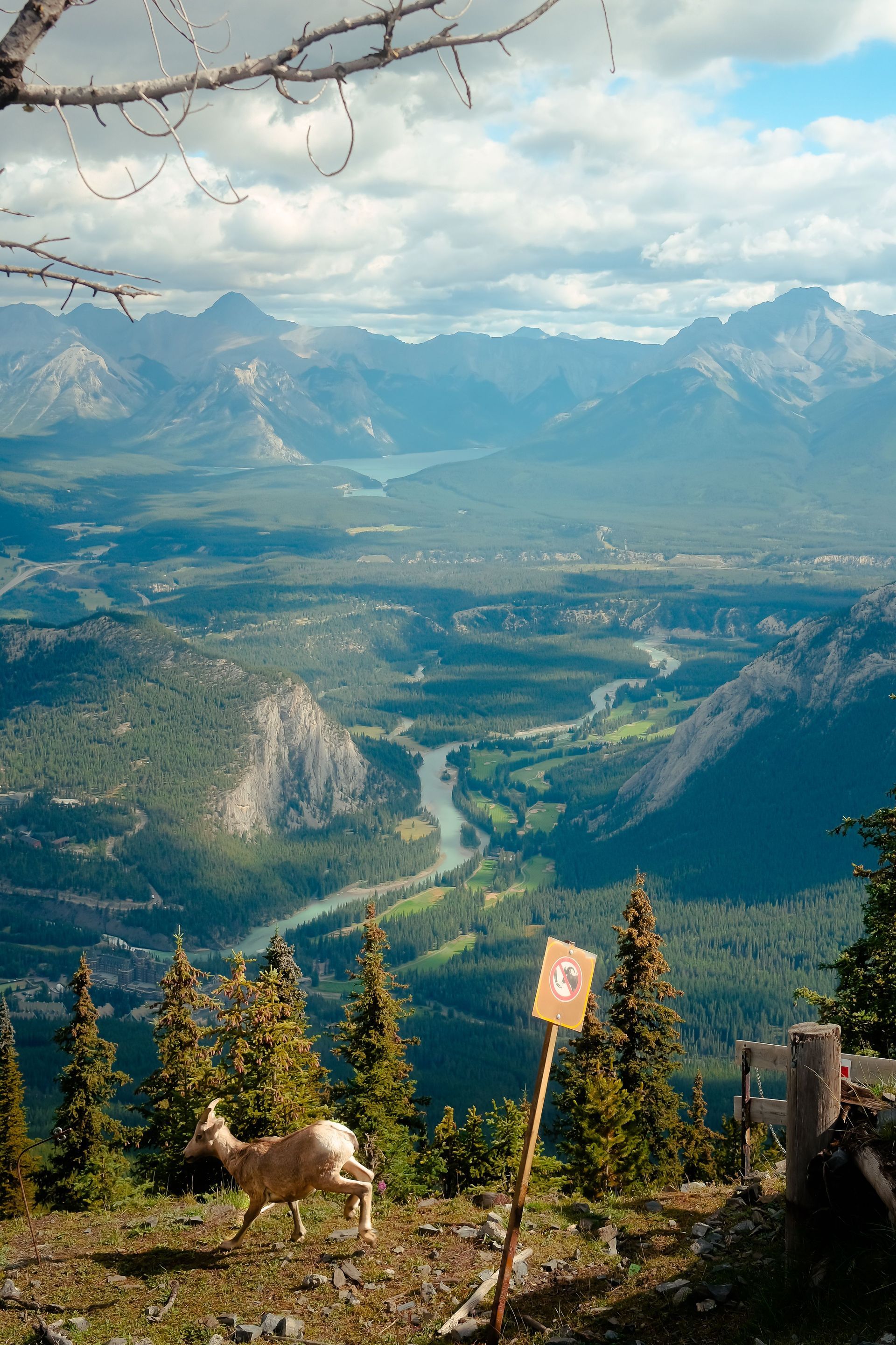 Uitzicht op een bergvallei met een kronkelende rivier, een blauwe lucht en een klein bordje op de voorgrond in Banff National  Park.