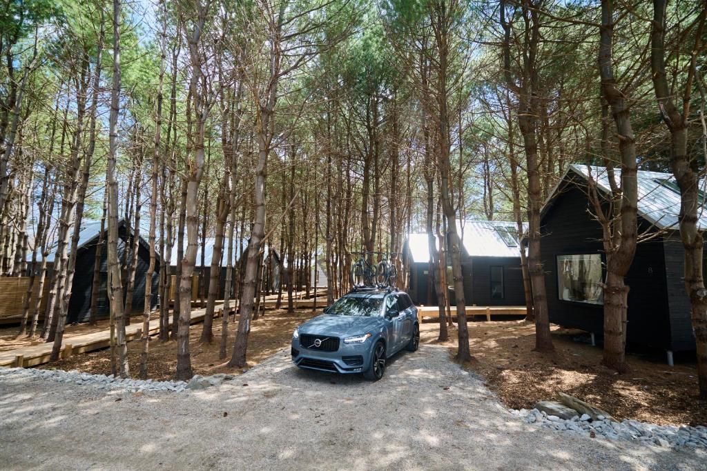 Een blauwe SUV op een grindpad tussen hoge bomen, met donkere hutten van Black Forrest Cabins, Mahone Bay.