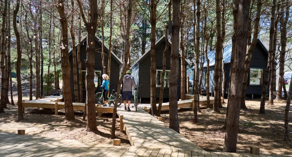 Mensen wandelen over een stenen pad tussen hoge bomen en houten hutten van Black Forrest Cabins, Mahone Bay in een zonnig boslandschap.