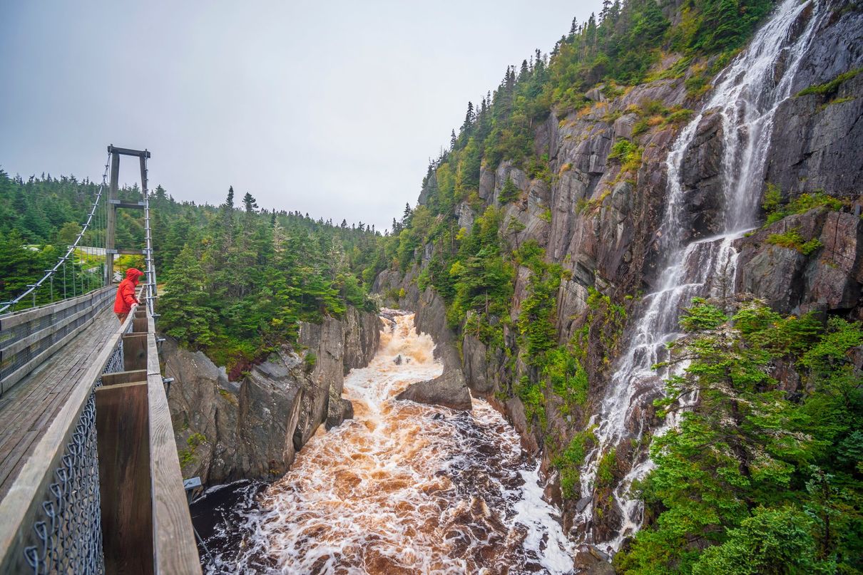 Prachtige rivier in West Canada Hangbrug over een rotsachtige kloof naast een waterval en rivier, met beboste kliffen op de achtergrond.