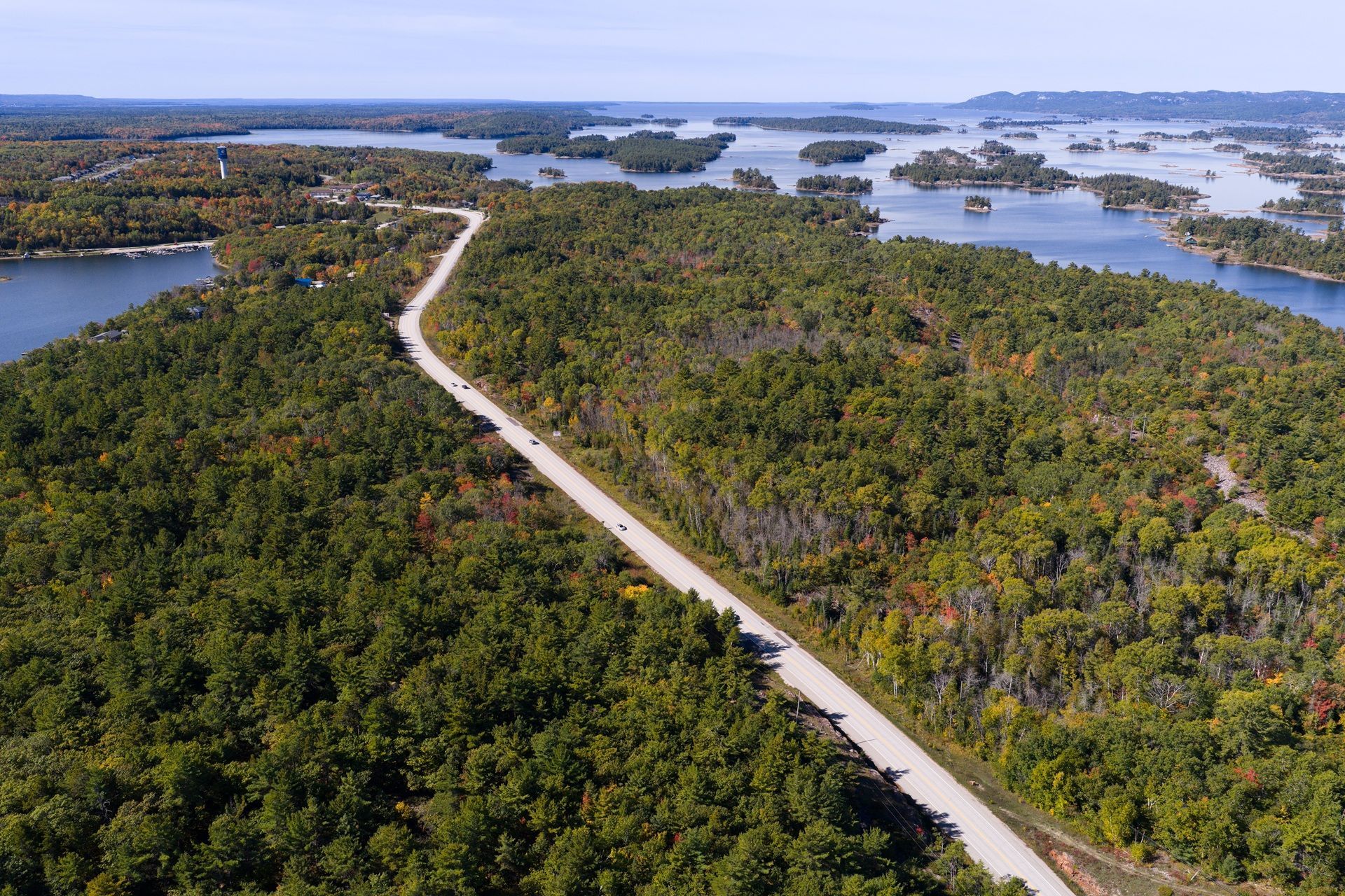 Een kronkelende weg door een dicht groen bos, langs een brede blauwe rivier en moerasgebieden.