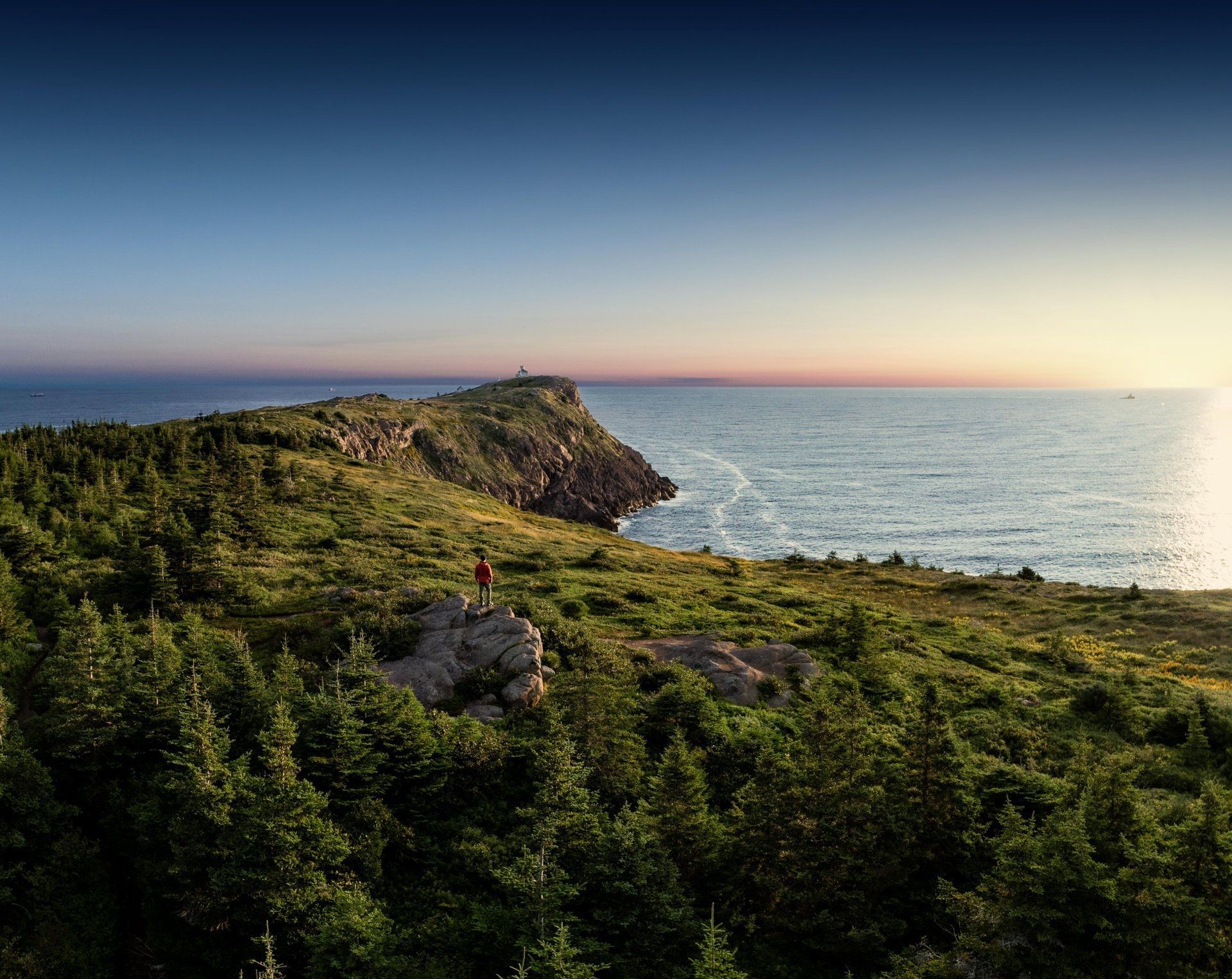 Rotsachtige kustklif bij Cape Spear, St. John's Canada bij zonsondergang, met de oceaan op de achtergrond en een altijdgroen bos op de voorgrond.