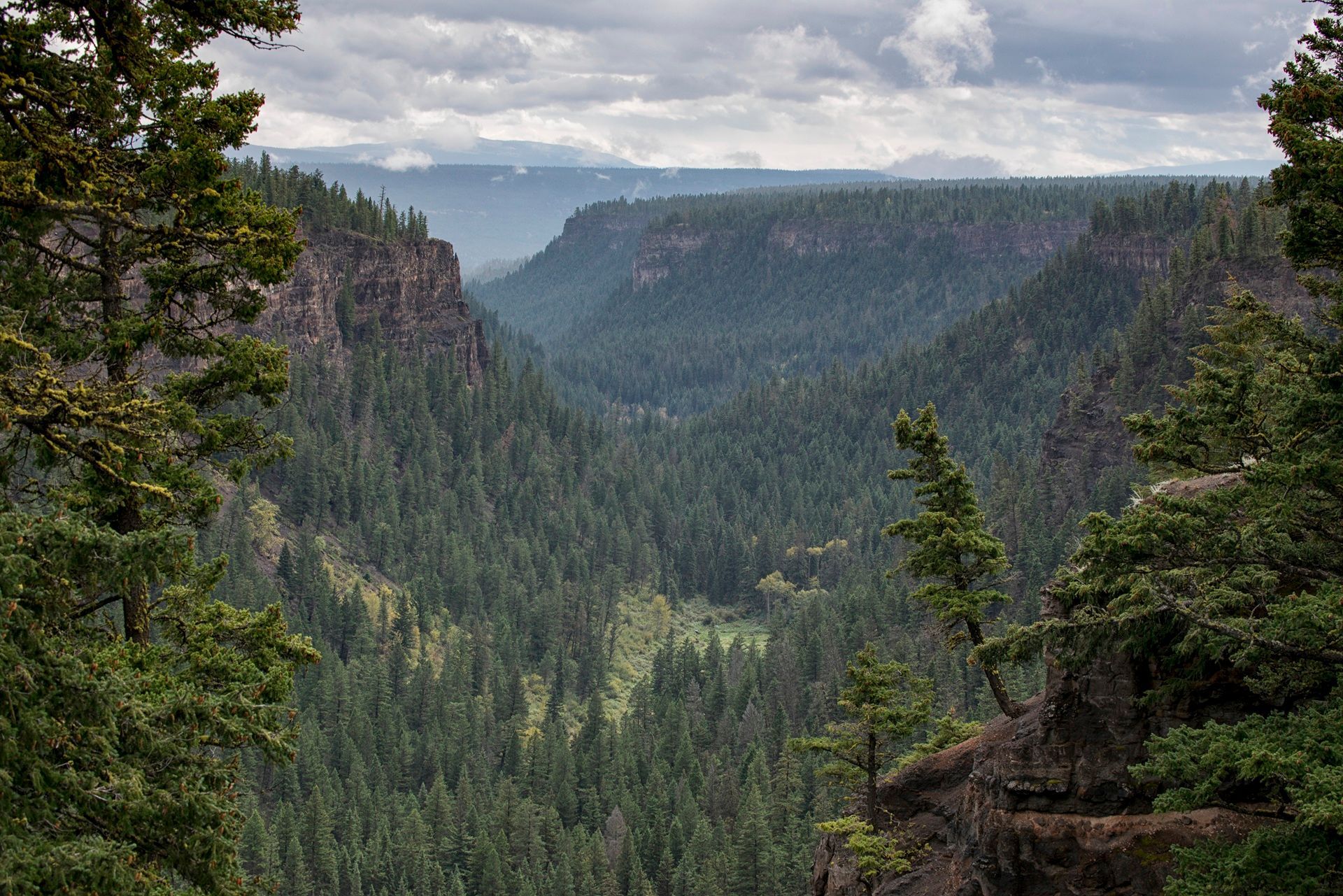 Een weelderig groene, beboste kloof met steile kliffen onder een bewolkte hemel in het Chasm Provincial Park, Canada.