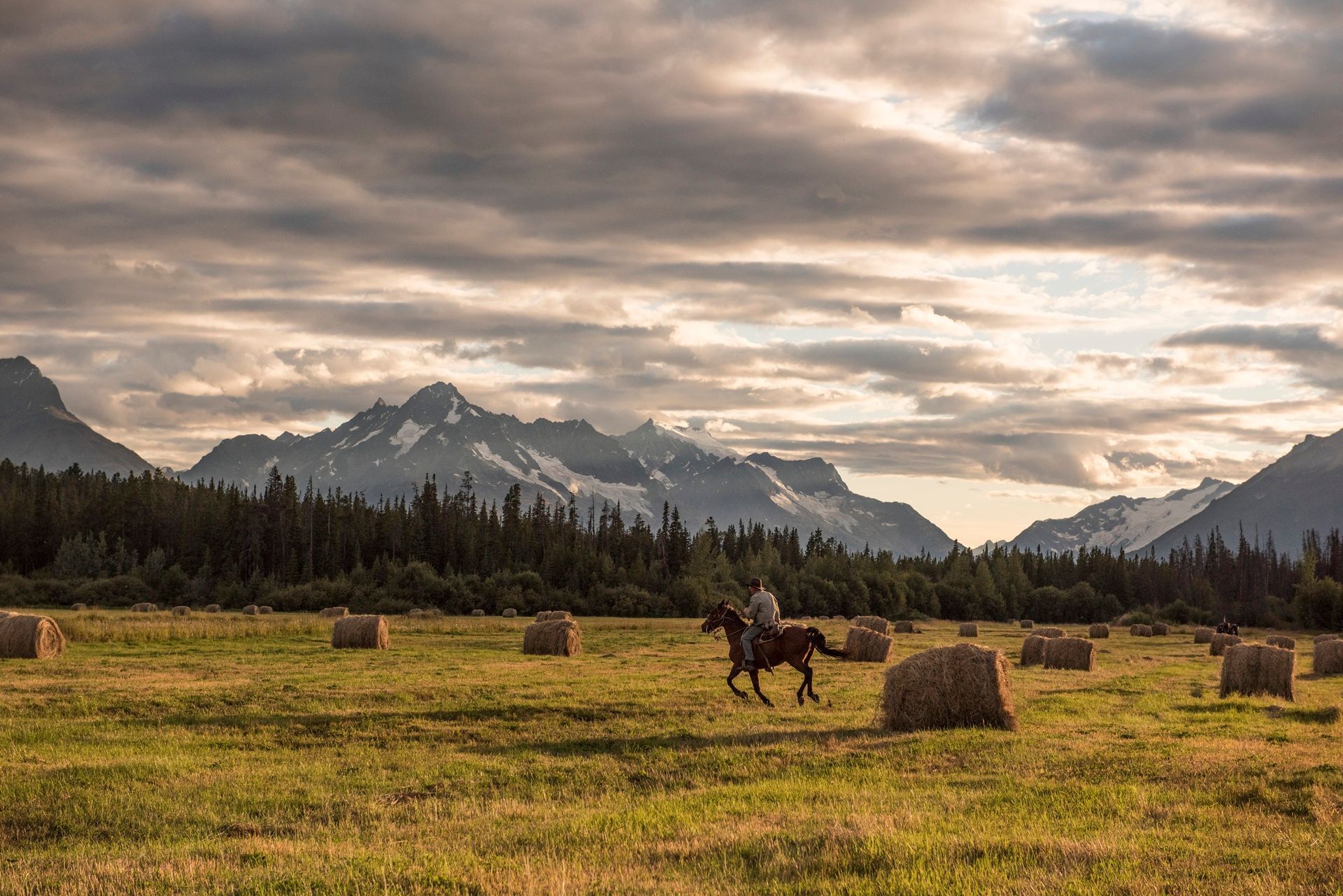 Een ruiter te paard in Canada steekt een grasveld met hooibalen over, met op de achtergrond bewolkte bergen.