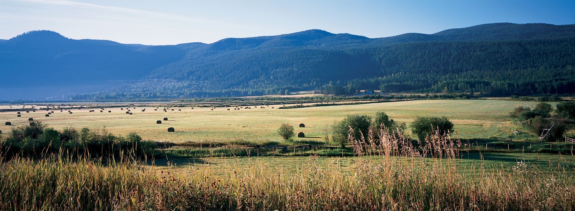 Een uitgestrekt grasveld in Canada met wilde bloemen en in de verte bergen onder een helderblauwe hemel.