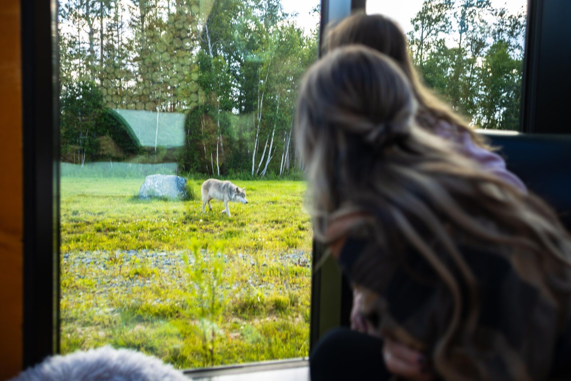 Vrouw kijkt vanuit een raam naar een hond in een groene tuin.