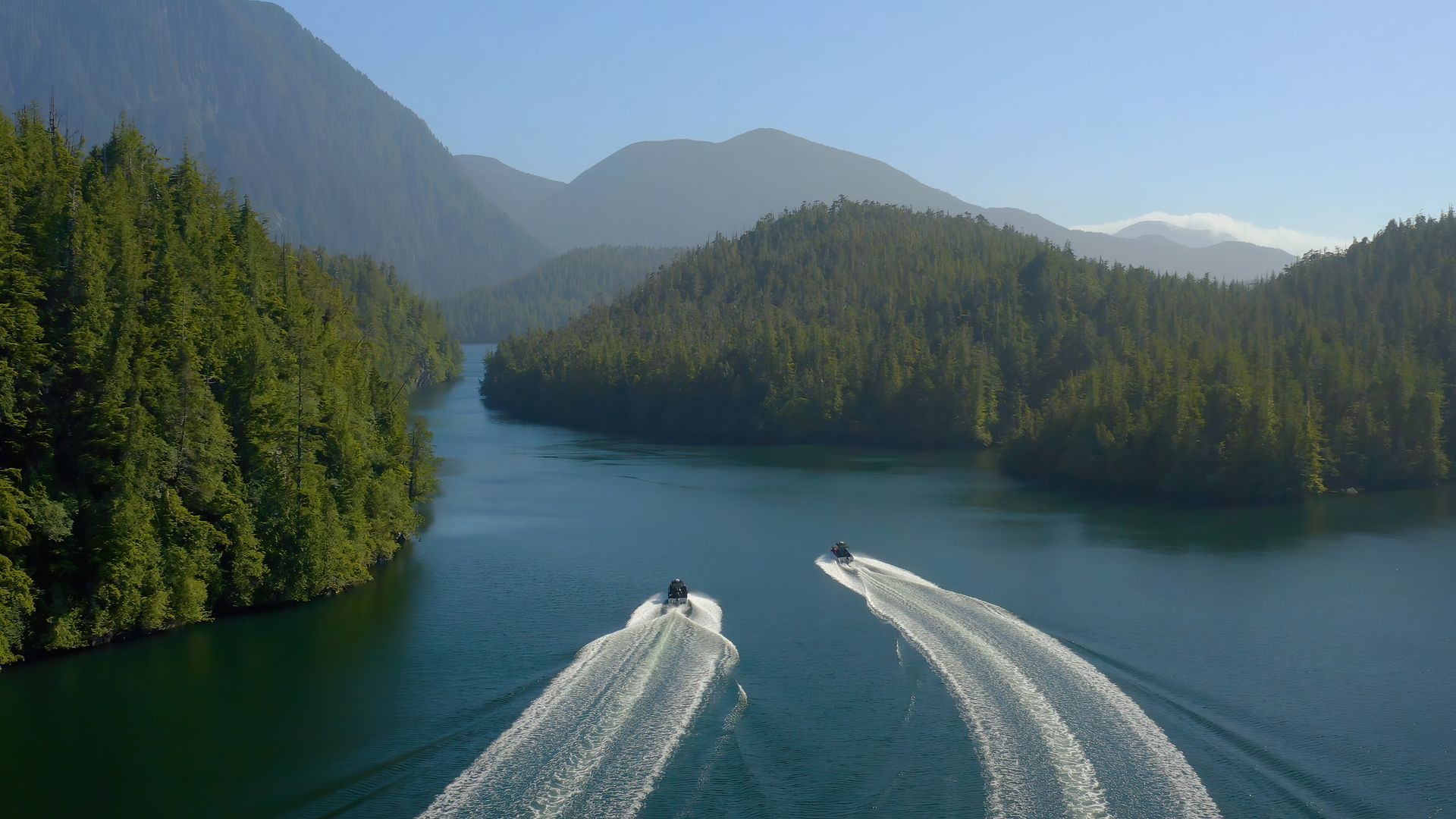 Twee speedboten trekken vanaf het schip Cascadia van Maple Leaf Adventures witte schuimsporen over een blauw zee omringd door naaldbos in British Columbia.