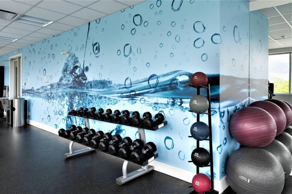 Fitnessruimte met halterrek, medicijnballen en een muurschildering met een blauw waterthema.