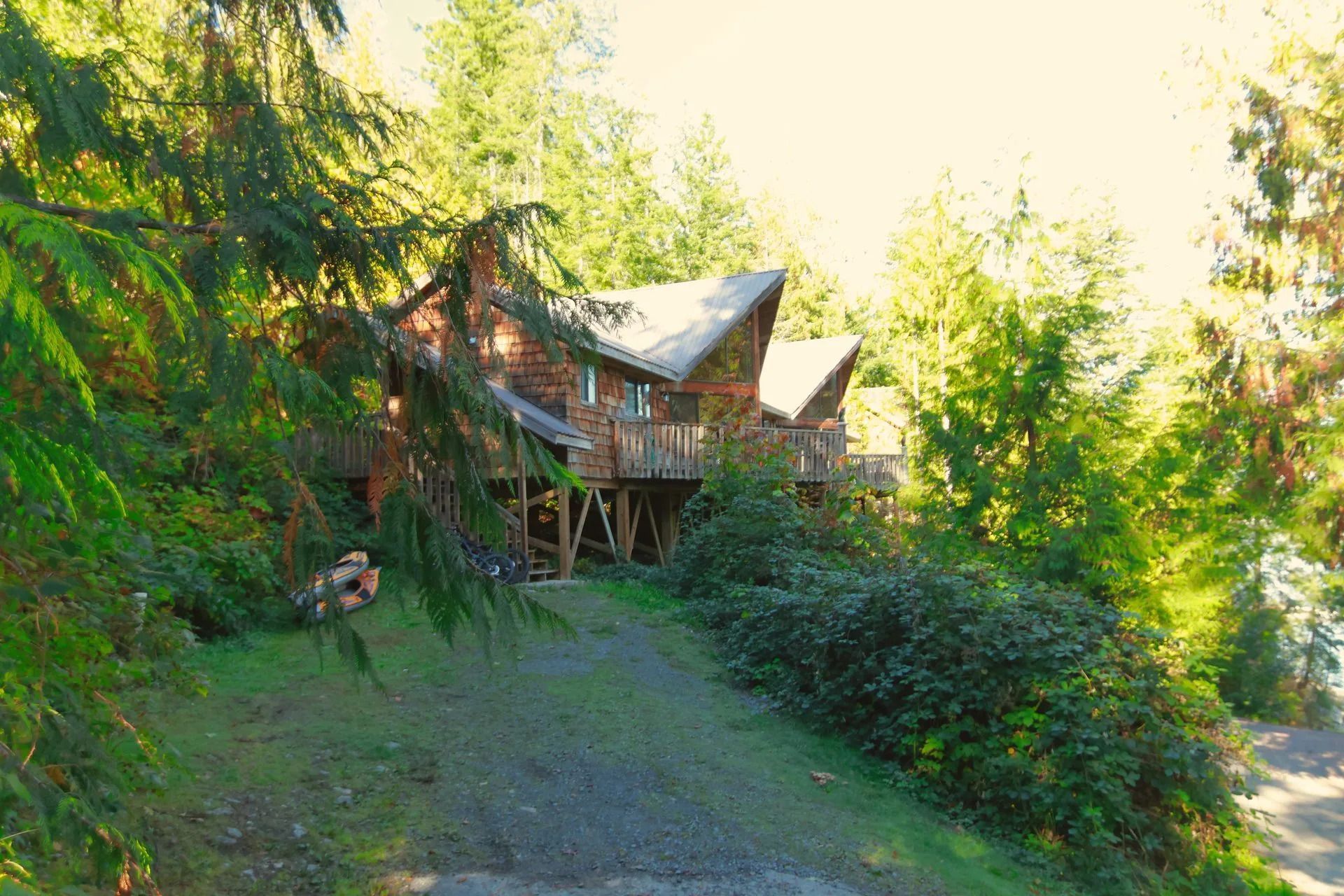 Rustieke hut verscholen in een weelderig groen bos, met zonovergoten bomen die een graspad omlijsten.