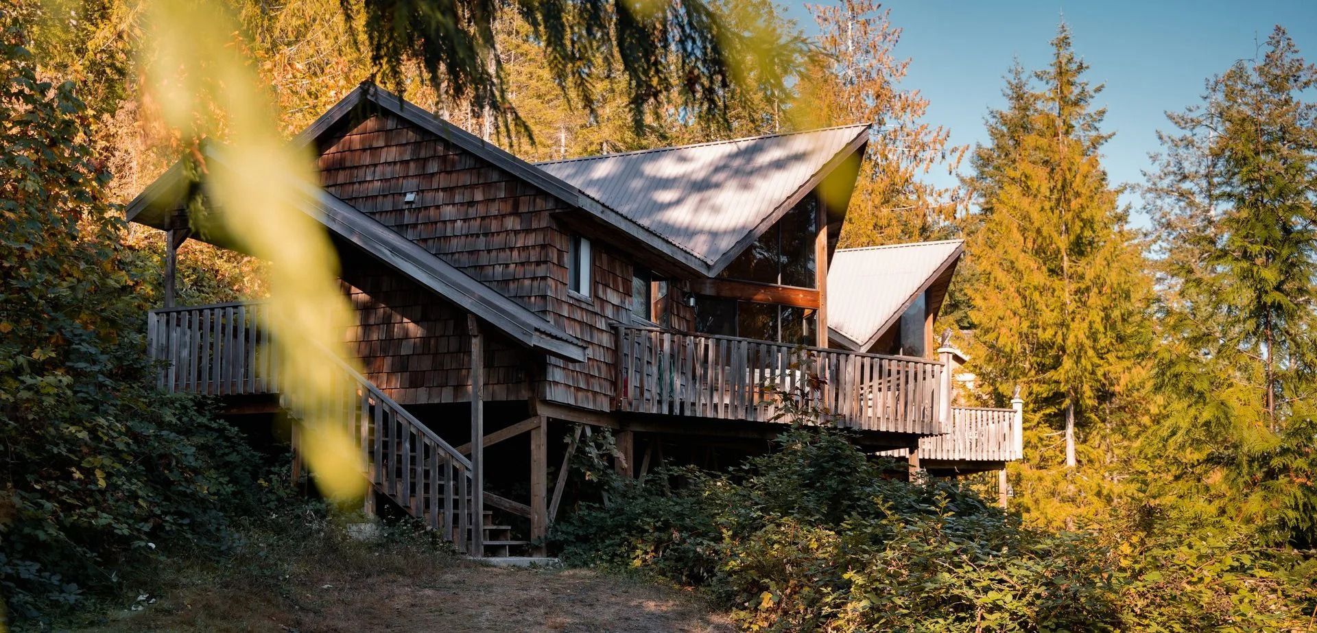 Houten hut in een herfstbos met warm zonlicht en goudkleurige bomen.