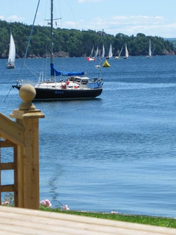 Zeilboten op een kalme blauwe baai, met een zwarte zeilboot op de voorgrond en daarachter een groene, beboste kustlijn.