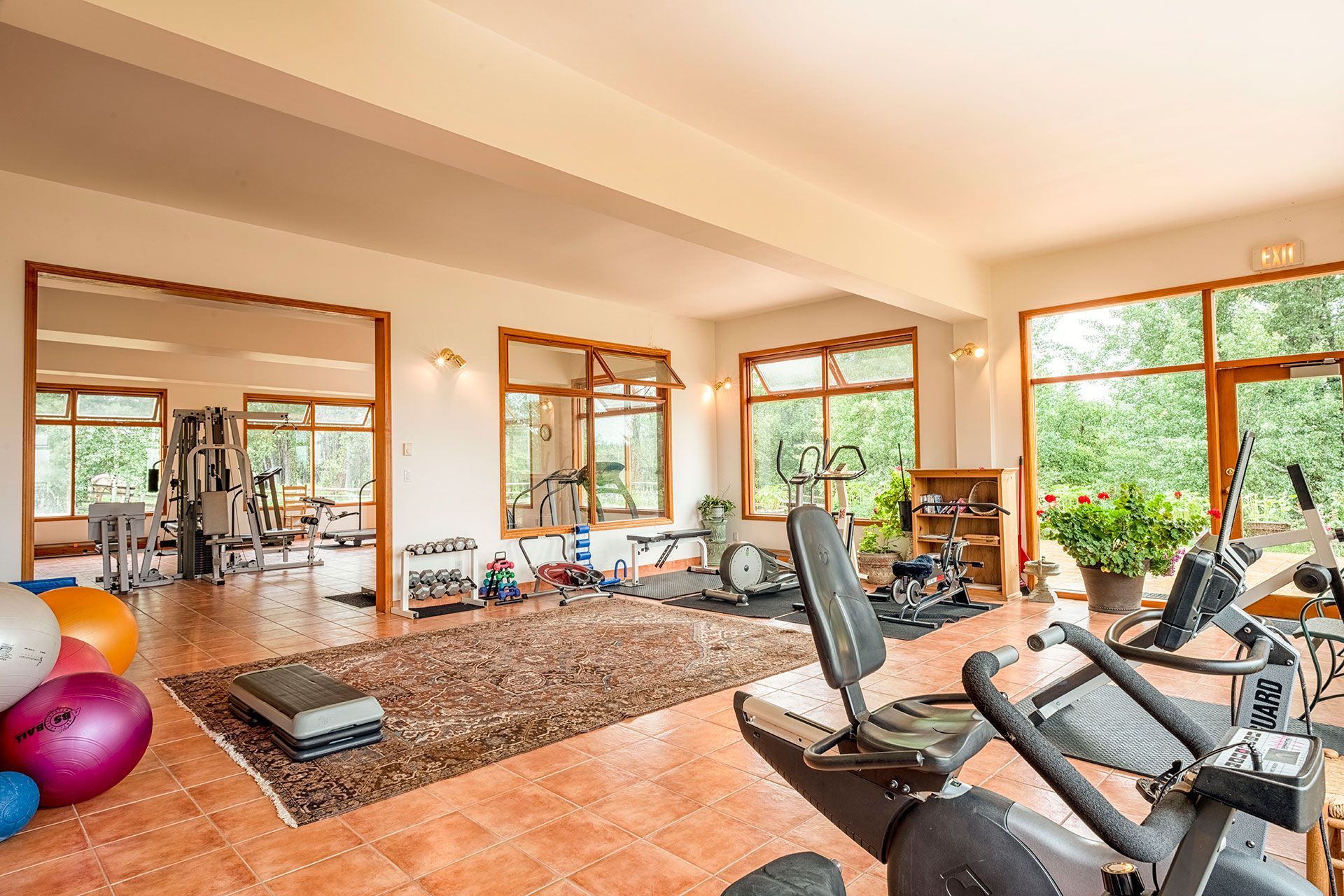 Lichte gym van Echo Valley Ranch met hometrainers, yogaballen, gewichten, spiegels en grote ramen met uitzicht op het groen.
