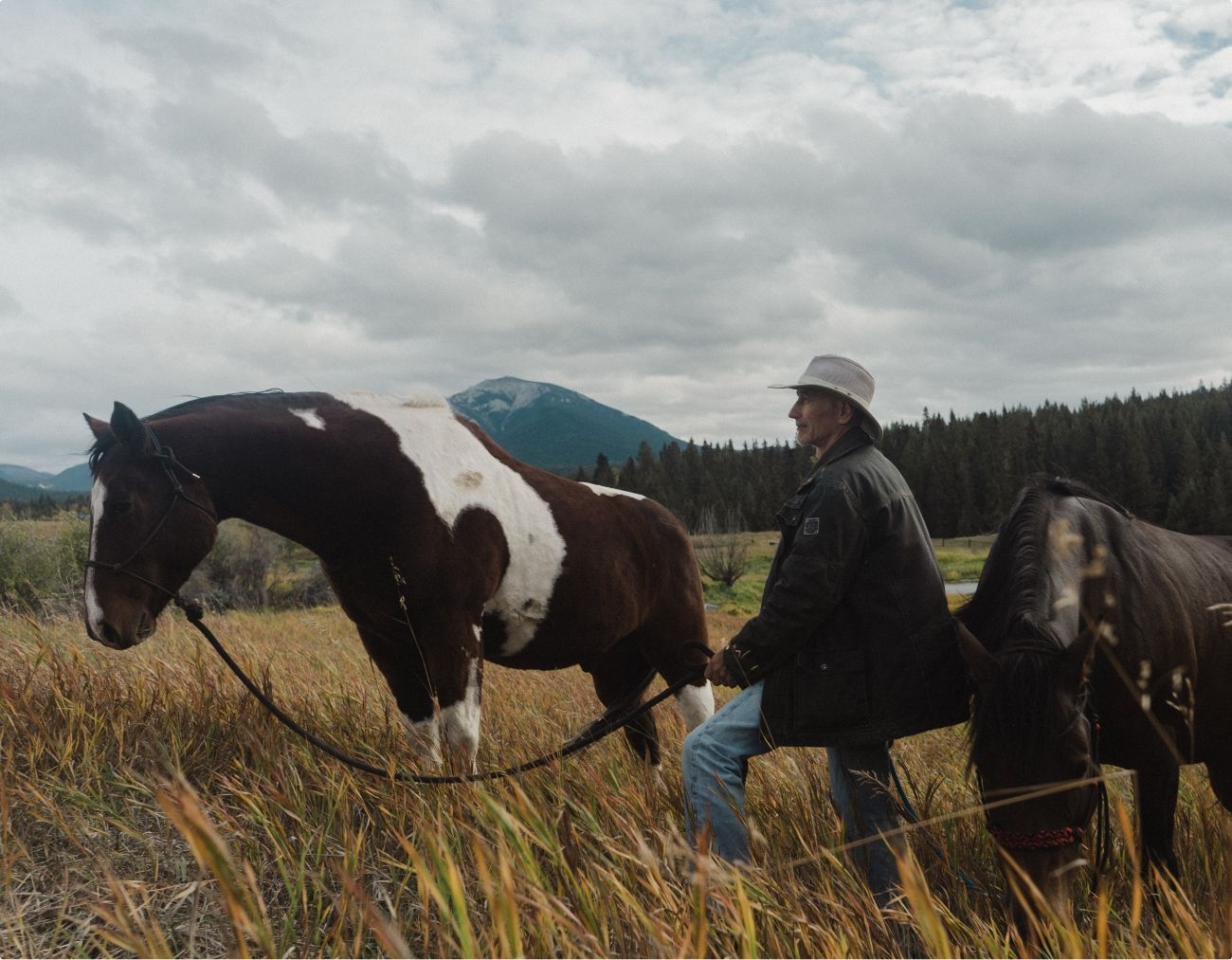 Een persoon met een cowboyhoed leidt een zwart-wit paard door hoog gras onder bewolkte bergen.