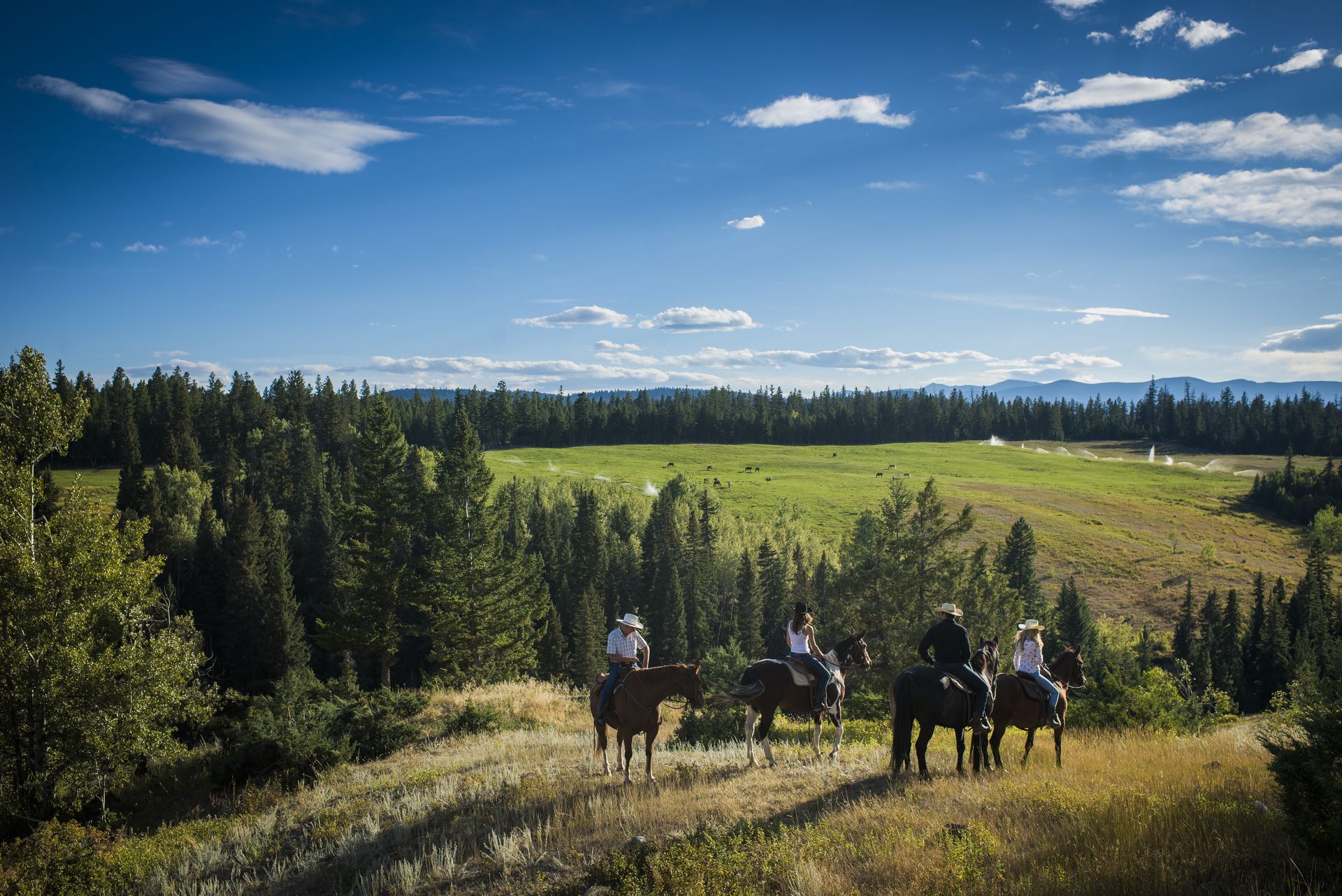 Vier ruiters te paard bij de Echo Valley Ranch kijken uit over een zonnige, groene vallei met bos en bergen in de verte.