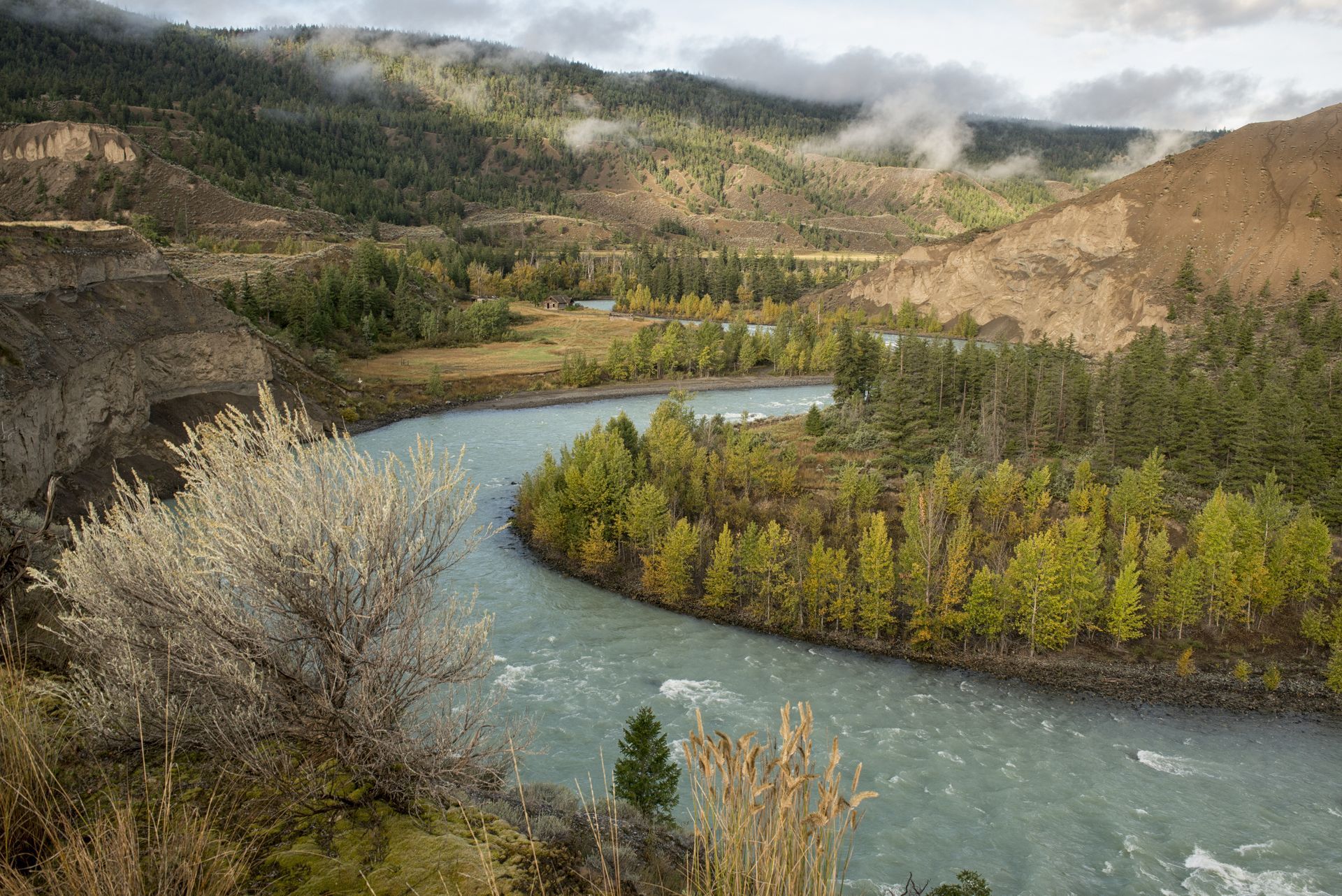 Een kronkelende blauwe rivier in de Farwell Canyon nabij Riske Creek stroomt door een beboste bergvallei met herfstbomen en mistige heuvels.