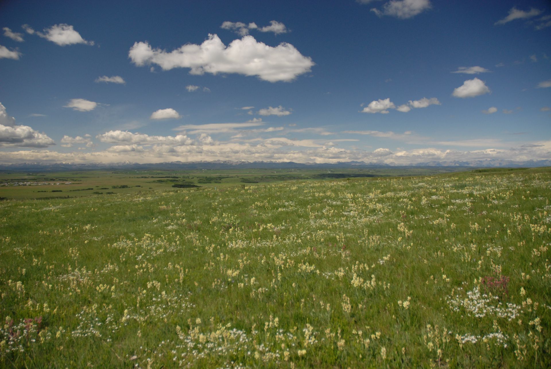 Een uitgestrekt grasveld van Foodhills Canada onder een blauwe hemel met hier en daar witte wolken en heuvels in de verte.