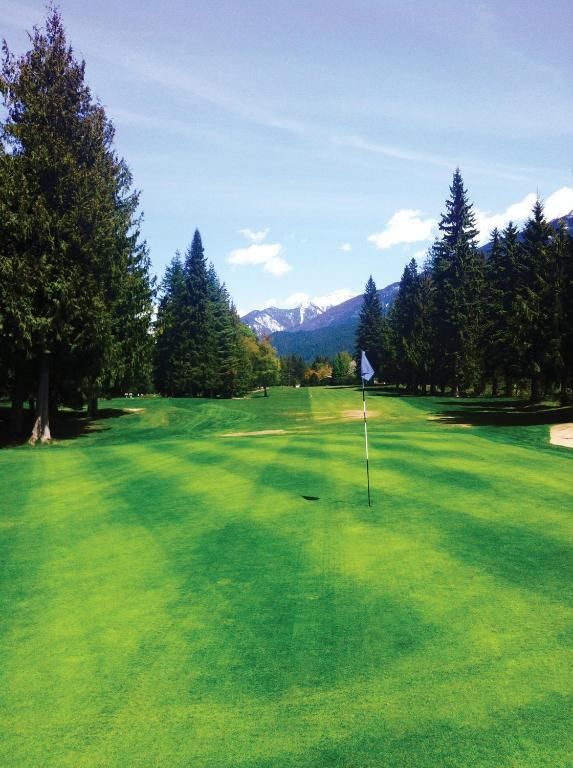 De fairway van de golfbaan is omzoomd met hoge dennenbomen, met in de verte bergen onder een heldere hemel.