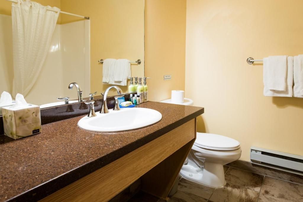 Badkamer met wastafel, spiegel, toilet en beige muren, met een bruin aanrechtblad en witte handdoeken.