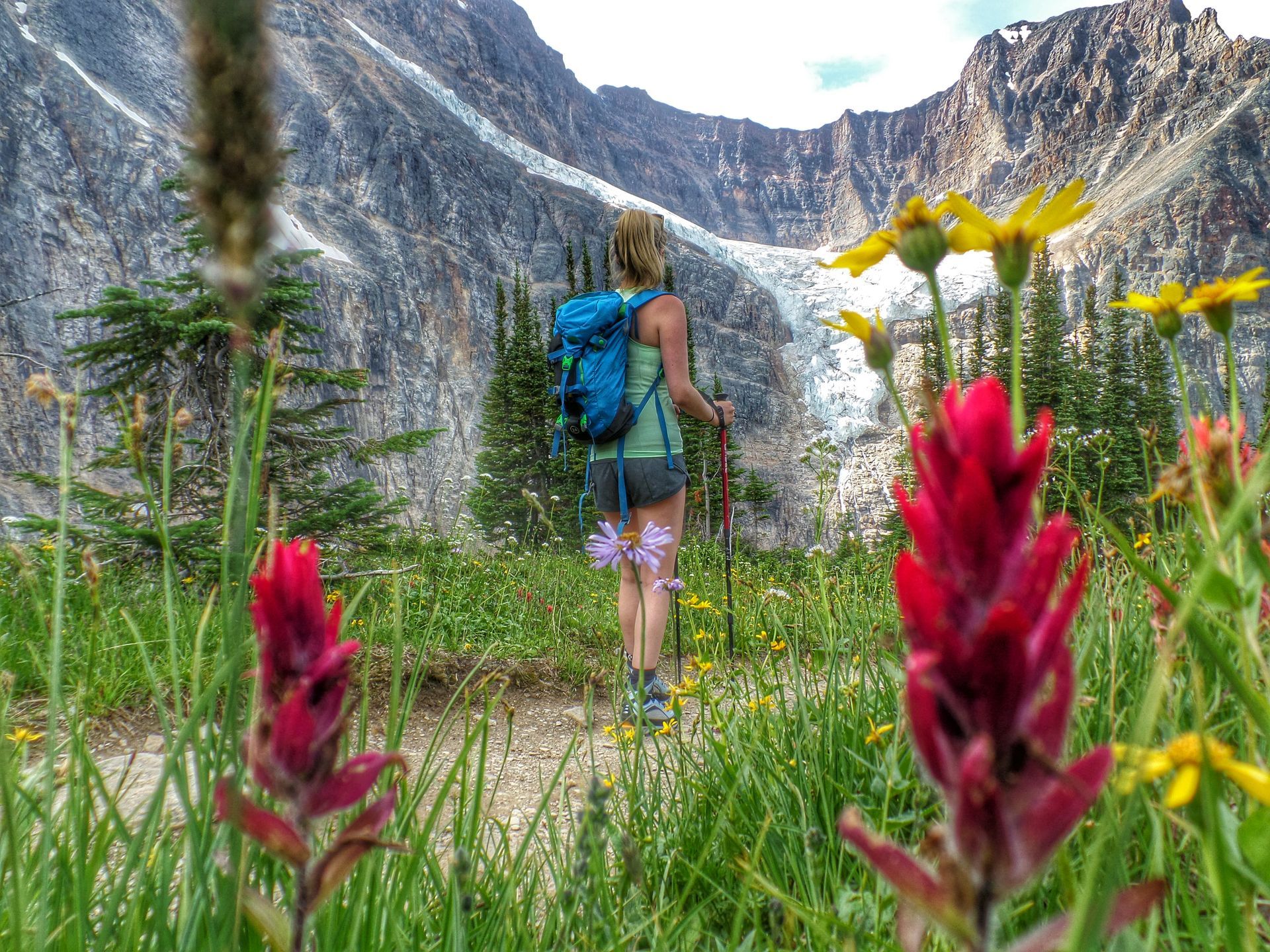 Wandelaar met blauwe rugzak op een bergpad bij Mount Edith Cavell in het Jasper National Park, omringd door wilde bloemen.