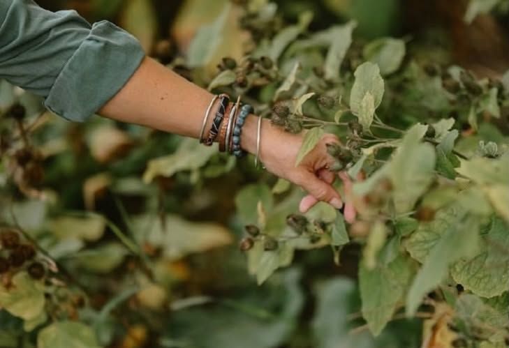 Hand met armbanden die door groene bladeren in een tuin of veld reikt
