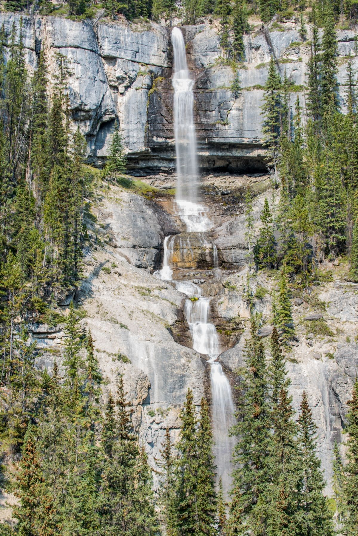De Bridal veil falls langs de Icefields Parkway stort zich langs een rotsachtige klif naar beneden, omgeven door dichte groene bomen.
