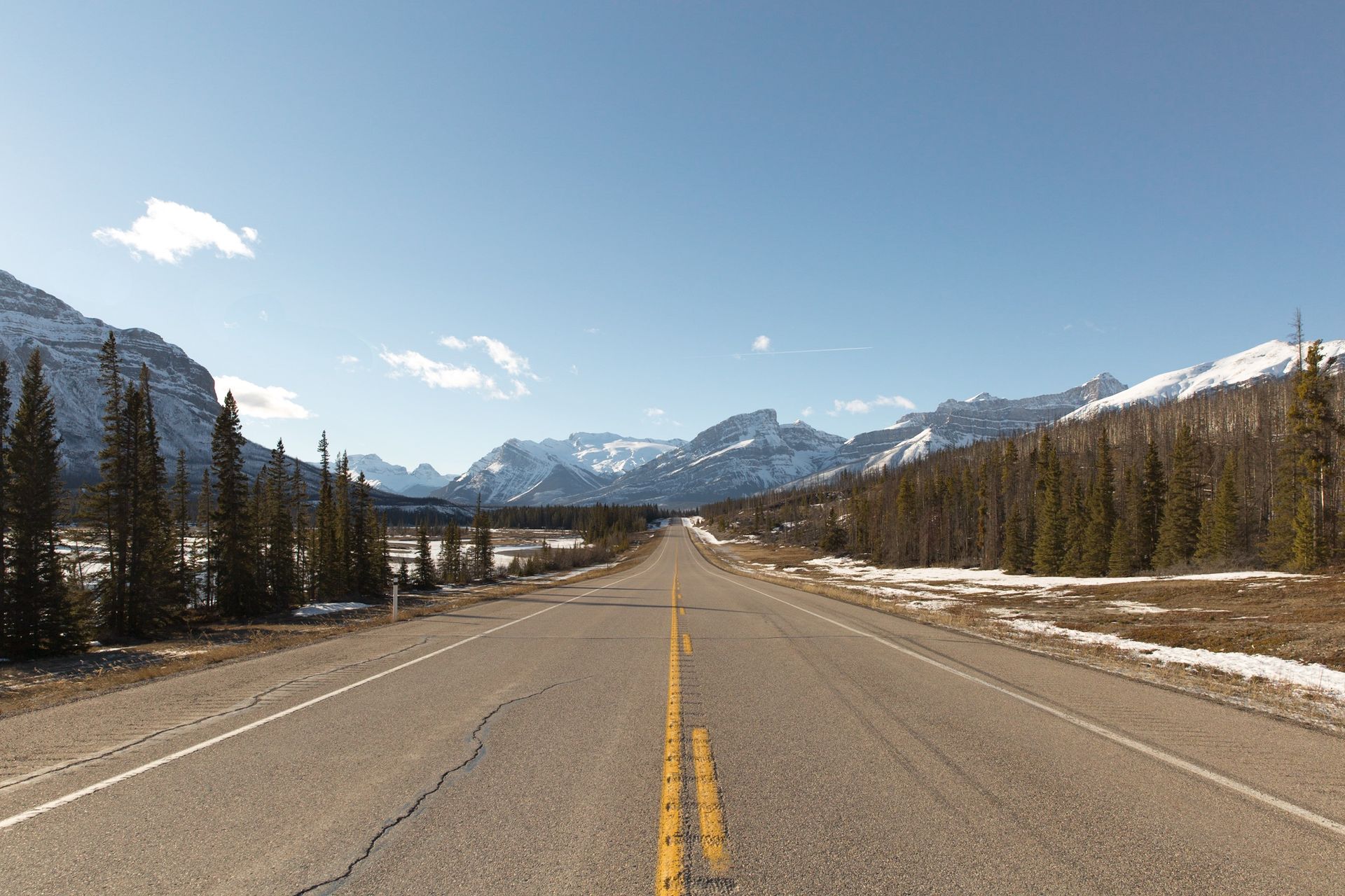 De Icefields Parkway leidt naar besneeuwde bergen onder een helderblauwe hemel, met dennenbomen langs de kant.