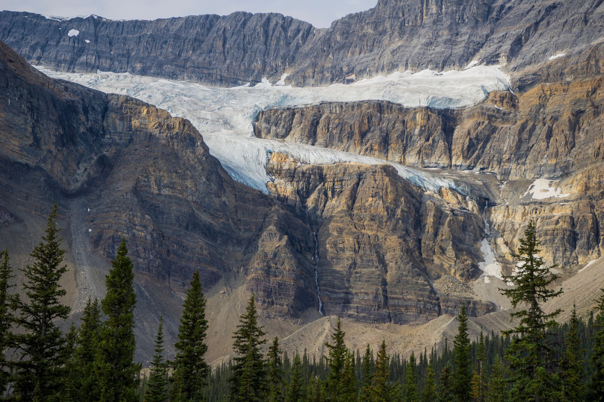 Crewfoot Glacier in de Rocky Mountains boven een bos van altijdgroene bomen onder een heldere hemel.