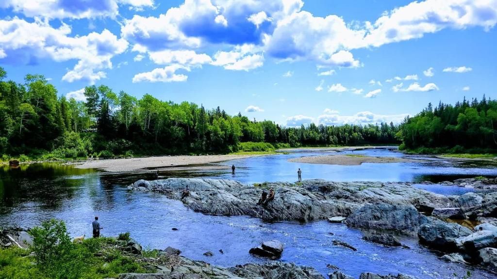 Een rotsachtige rivier onder een helderblauwe hemel met verspreide wolken en weelderige groene bomen.