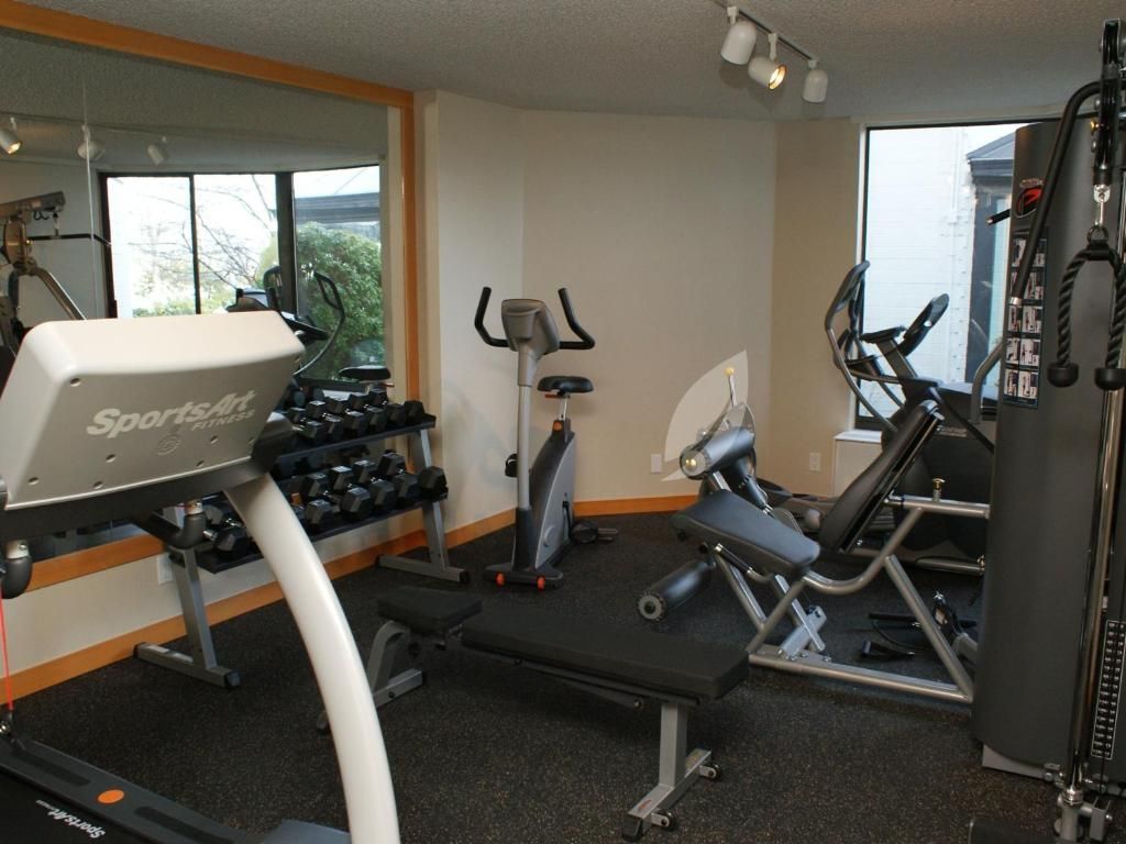 Fitnessruimte aan huis met hometrainers, loopband, gewichtsapparaten en dumbbells, vlakbij grote ramen.