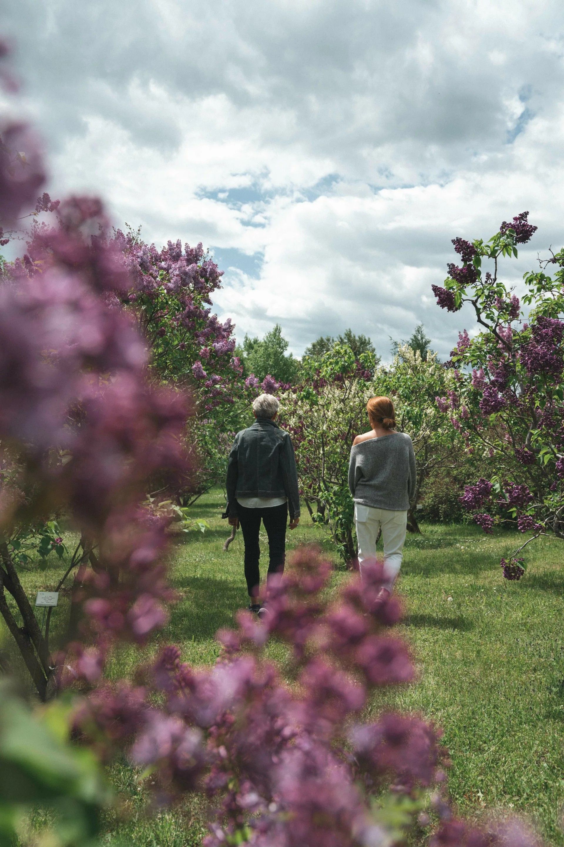 Twee mensen lopen door een bloeiend bloemenveld in Quebec, Canada, onder een bewolkte hemel.