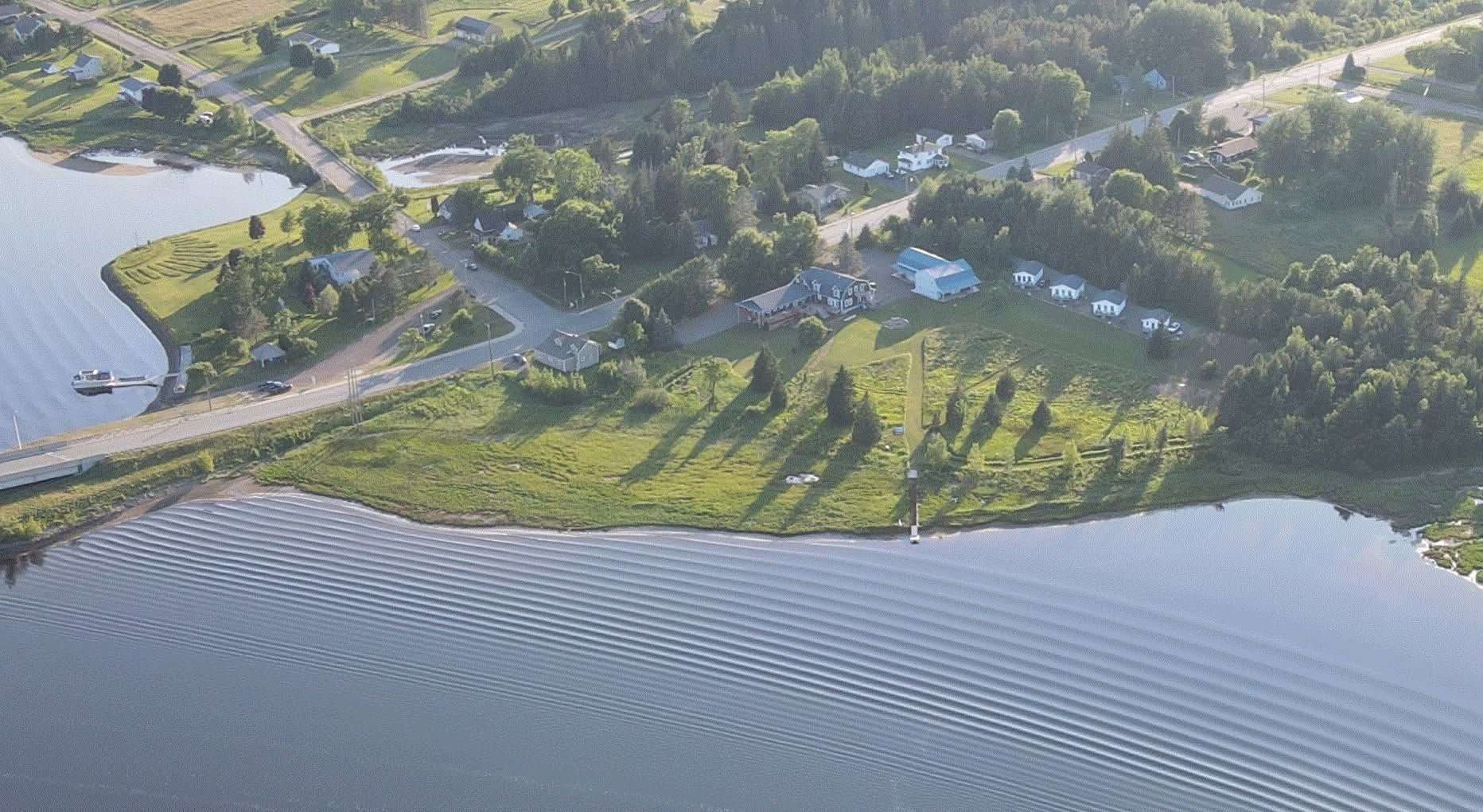 Luchtfoto van een park aan een meer met een weg, bomen en kabbelend water in zacht zonlicht.