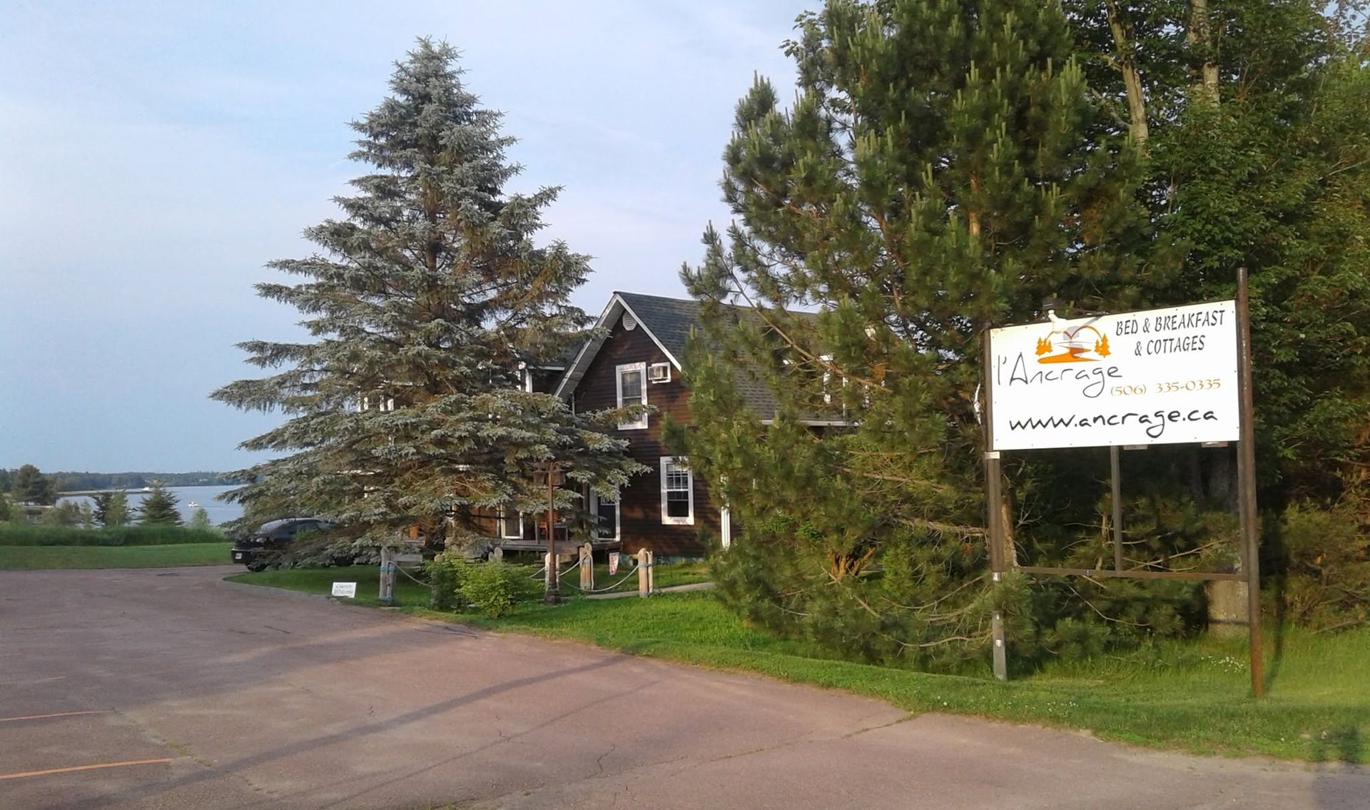 Landweggetje met een huis, hoge bomen en een wit bord naast een oprit.