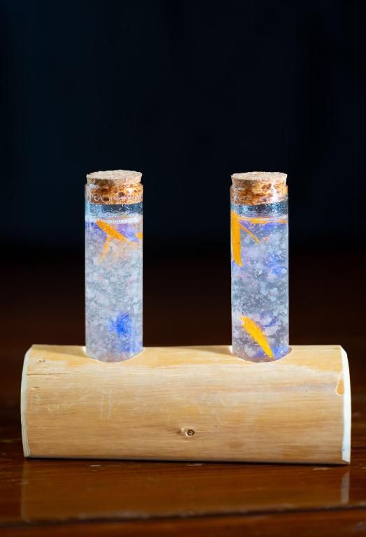 Twee kleine glazen flesjes met kurk op een houten blokje, gevuld met een blauwe vloeistof en oranje deeltjes.