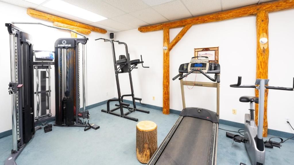 Een thuisgym met kabelmachine, loopband, halterbank, hometrainer en fitnessapparatuur in een kelderruimte.