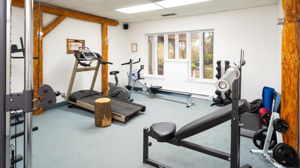 Lichte thuisgym met loopband, hometrainer, gewichten en grote ramen