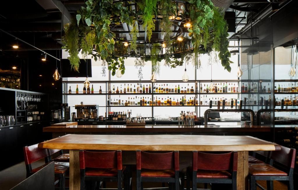 Modern barinterieur met houten tafels, rode barkrukken, hangplanten en verlichte schappen met flessen.