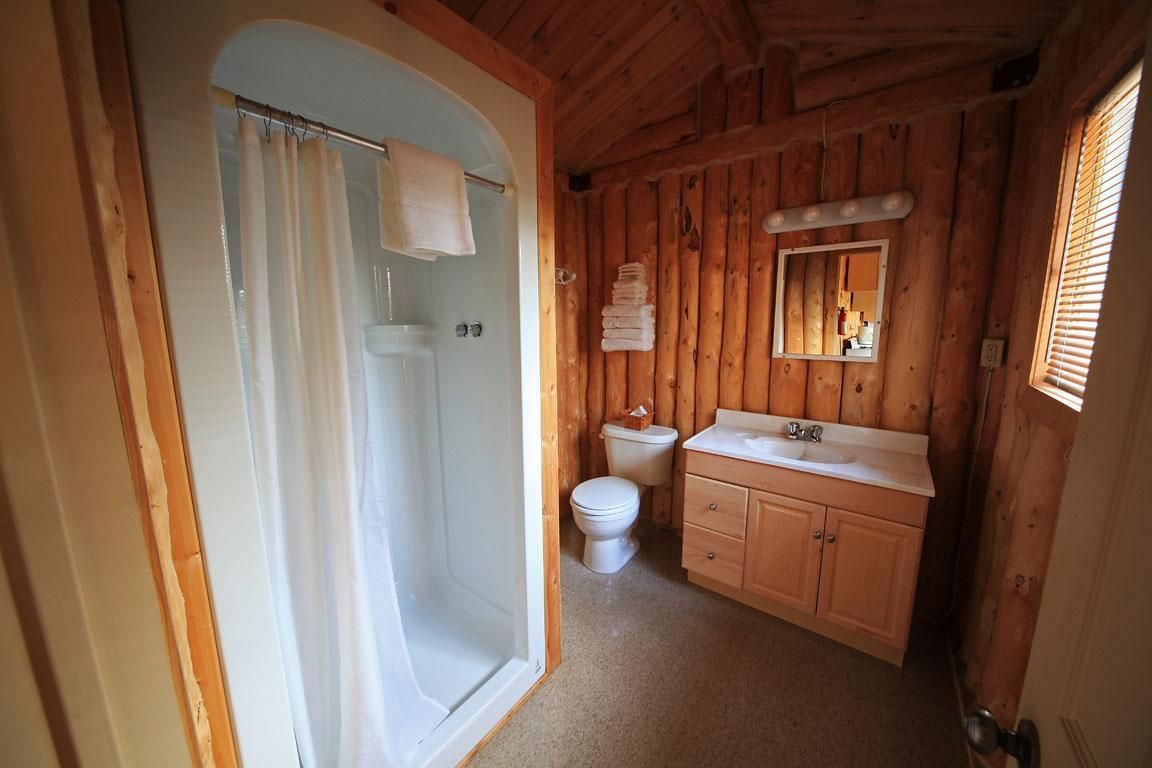 Badkamer met houten lambrisering, douchecabine, toilet en wastafel met spiegel.