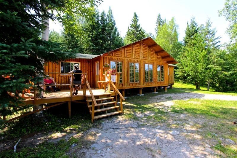 Houten hut met terras en trap in een zonnige open plek in het bos.