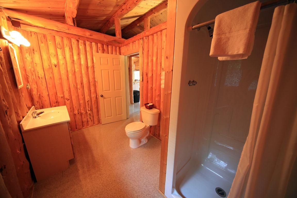 Kleine, rustieke badkamer met houten lambrisering, wastafel, toilet en douchecabine.