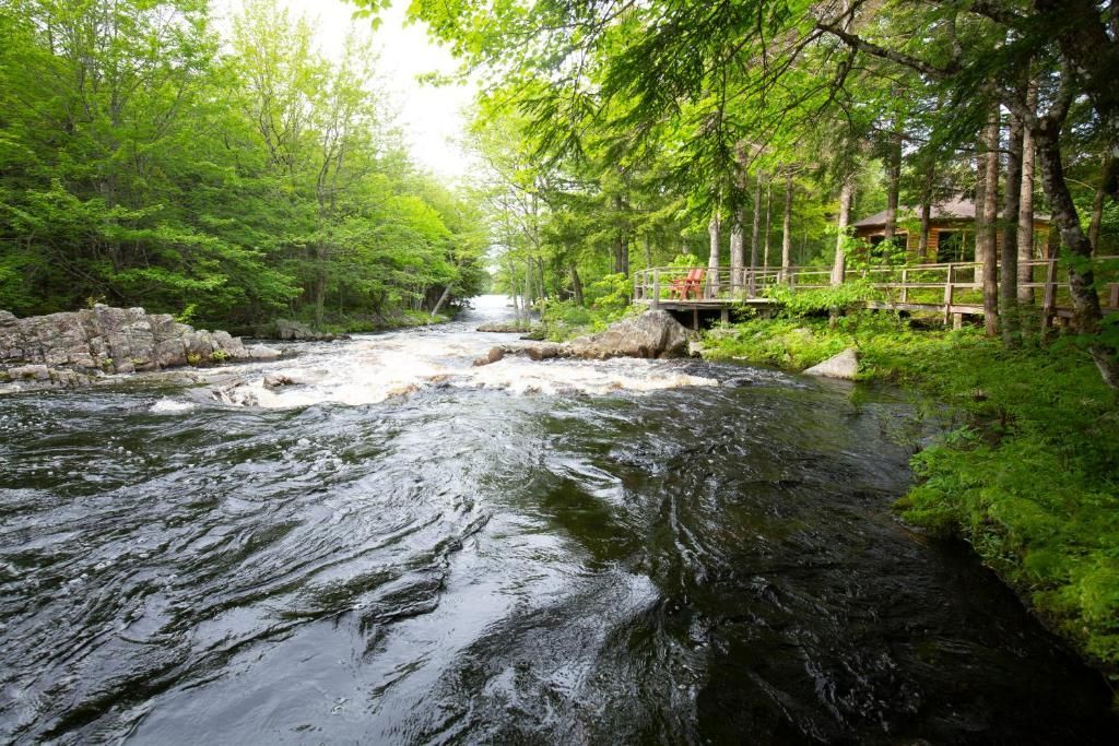 Een snelstromende rivier langs een groene, beboste oever met een houten hek aan de rechterkant.