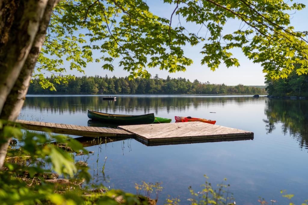 Houten steiger aan een kalm meer met rode kajaks, omringd door groene bomen en een helderblauwe hemel.