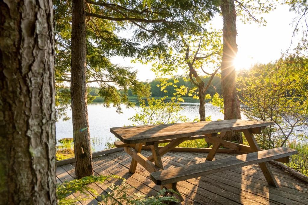 Picknicktafel aan de oever van een meer onder de bomen bij zonsondergang.