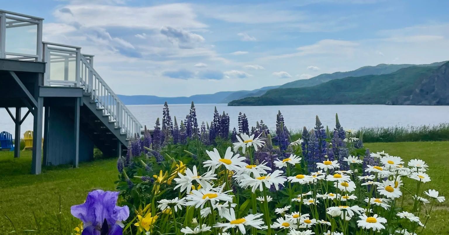 Paarse en witte bloemen bij een terras aan het meer, met een trap, bergen en een bewolkte hemel op de achtergrond.