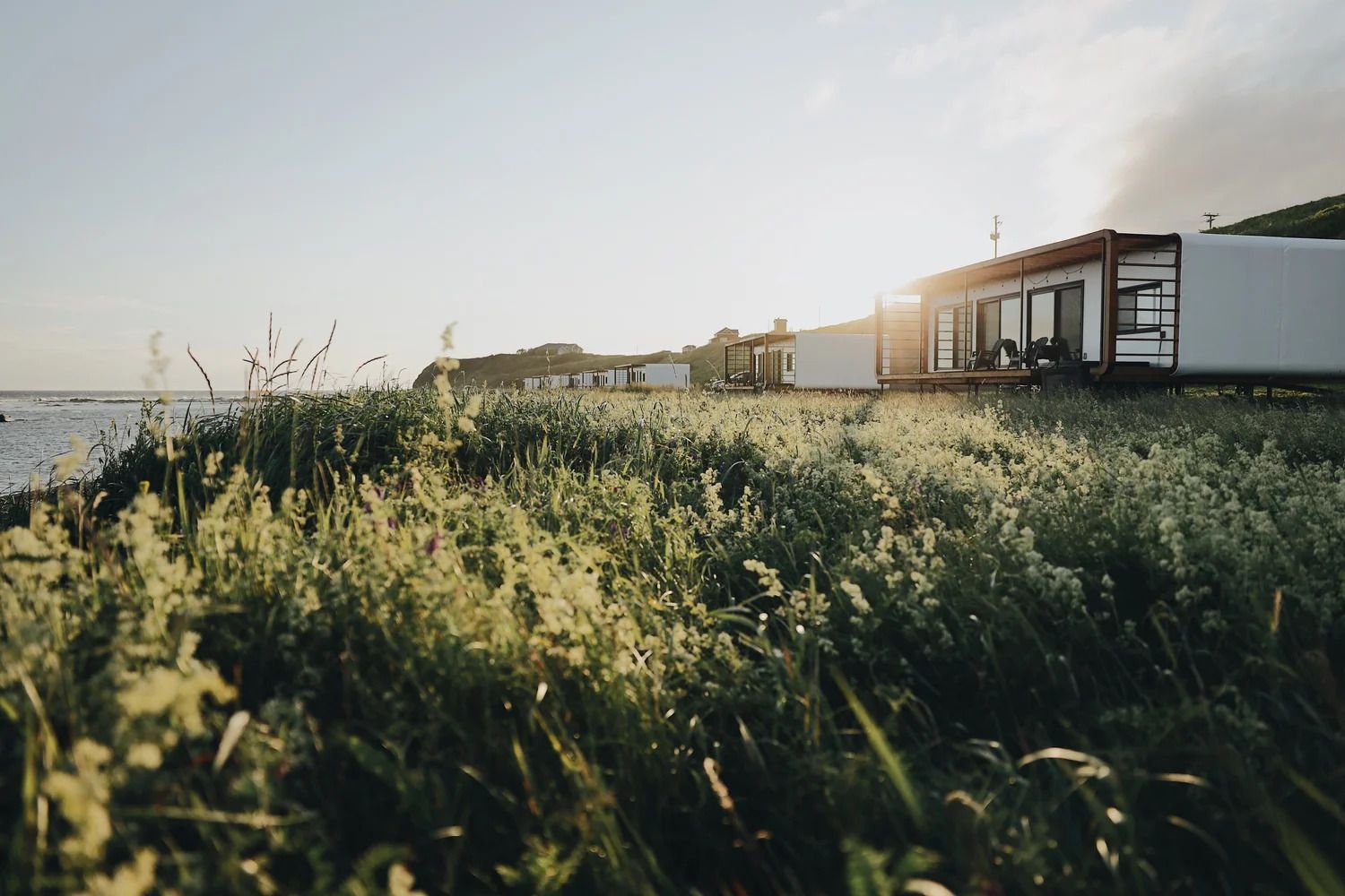 Zonovergoten kustweide met hoog gras naast moderne strandhuisjes en de zee.