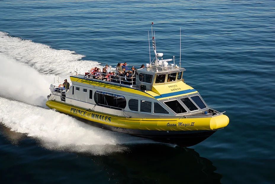 Een gele passagiersveerboot in Canada vaart met hoge snelheid over het kalme blauwe water en laat een wit spoor achter zich.