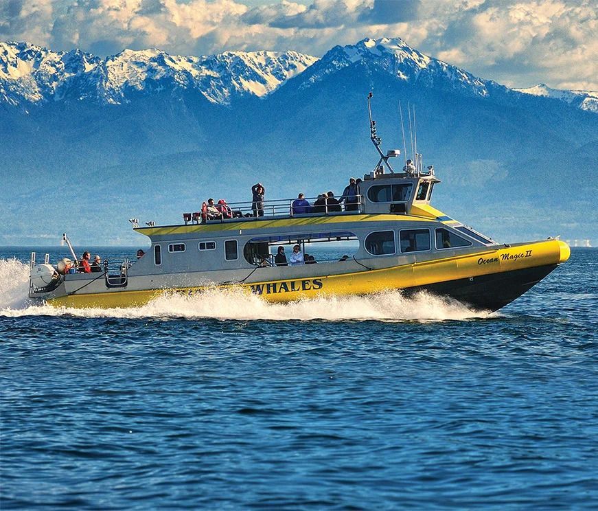 Een gele passagiersveerboot vaart in Canada met hoge snelheid over het blauwe water, met besneeuwde bergen op de achtergrond.