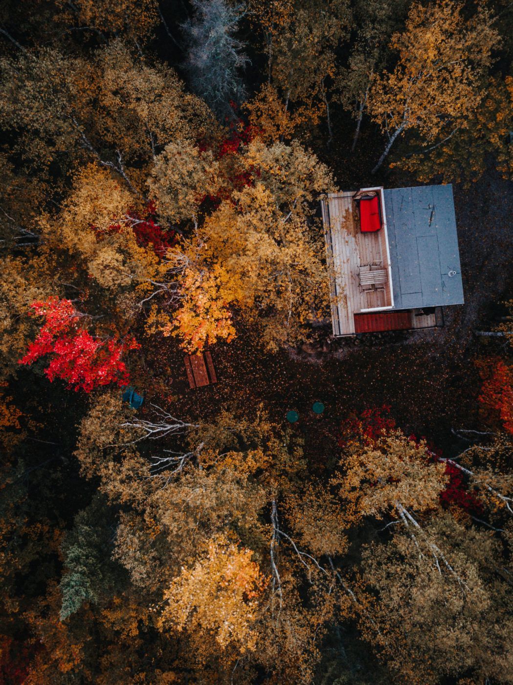 Luchtfoto van een kleine hut met een rood dak, omgeven door herfstbomen en -bladeren.