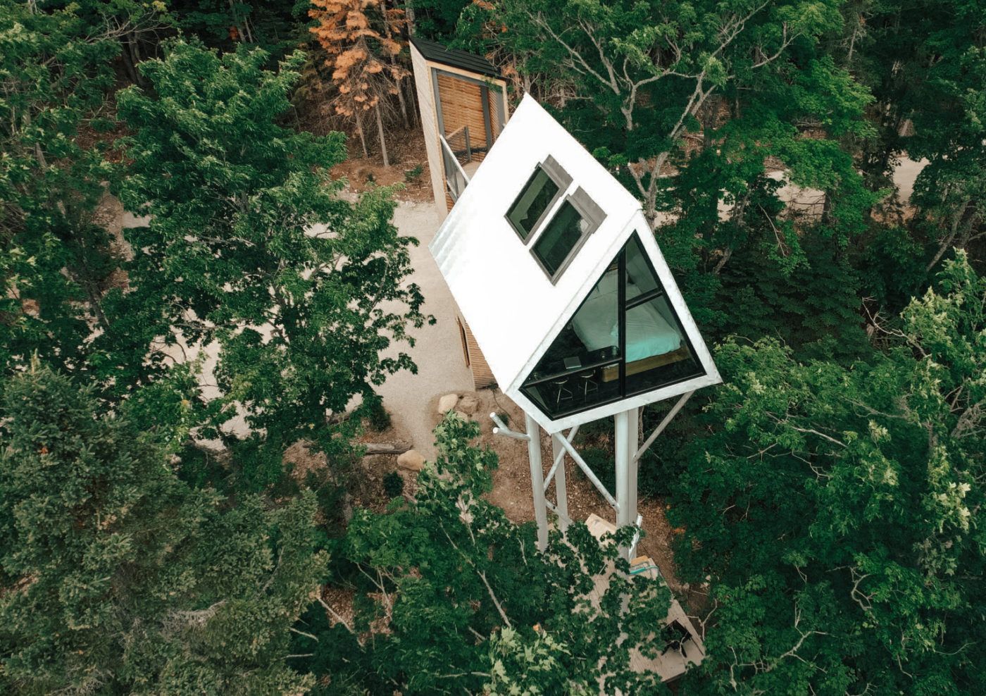 Moderne witte boomhut met grote ramen, verscholen in het dichte groene bladerdak van het bos.