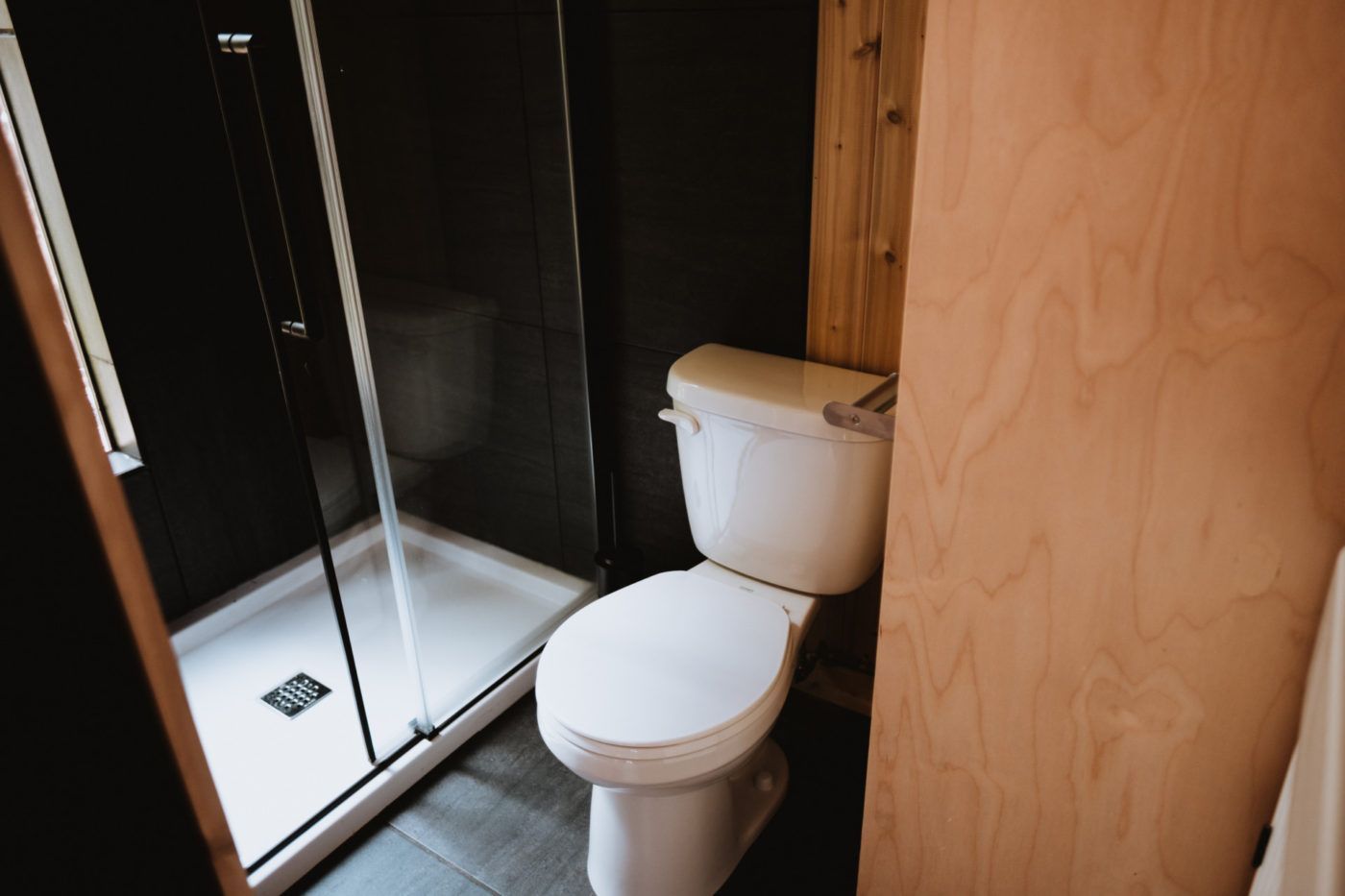 Kleine badkamer met een toilet naast een glazen douchecabine en een houten lambrisering.